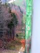 20061103-balmberg-0486.jpg