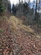 20181125-weissenstein-6481.jpg