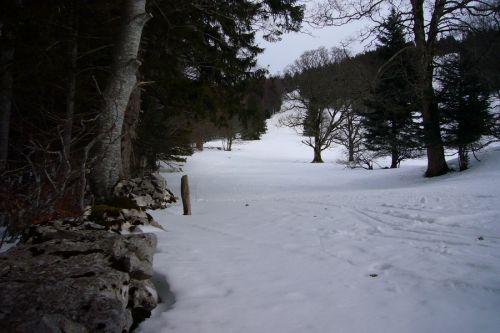 20100227-k-bugnenets-0680.jpg