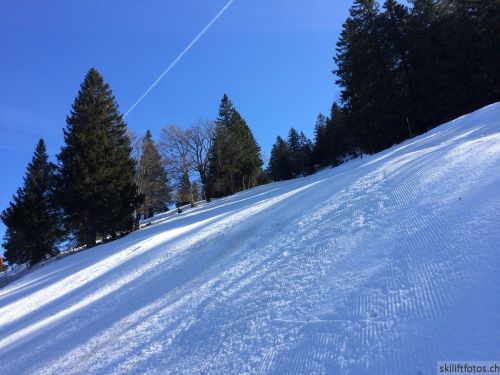 9. März 2019
