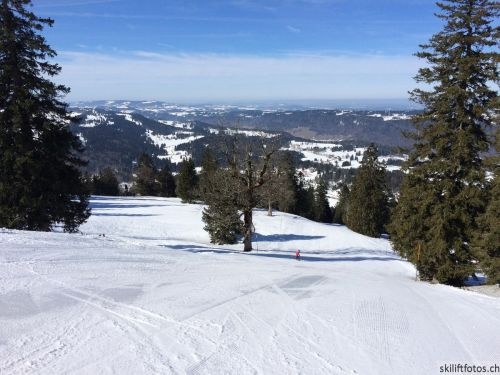 9. März 2019
