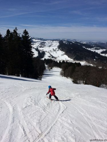9. März 2019
