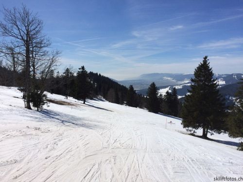 9. März 2019

