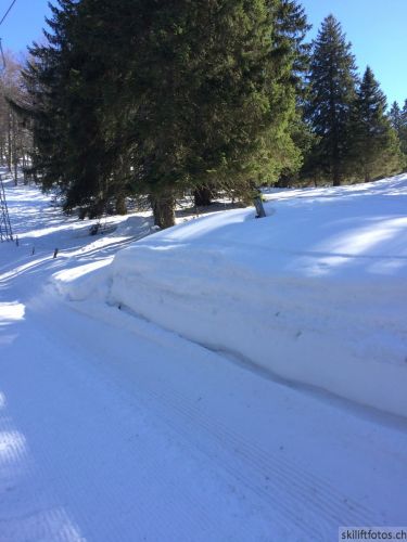 9. März 2019
