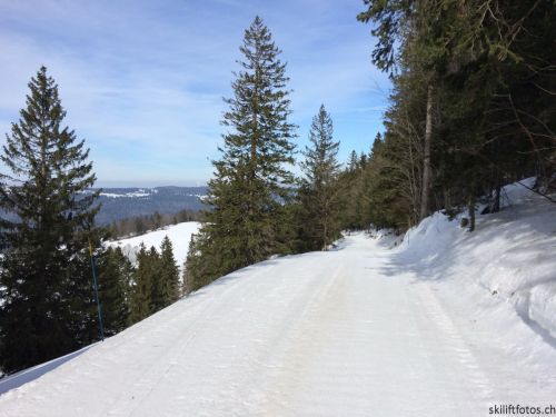 9. März 2019
