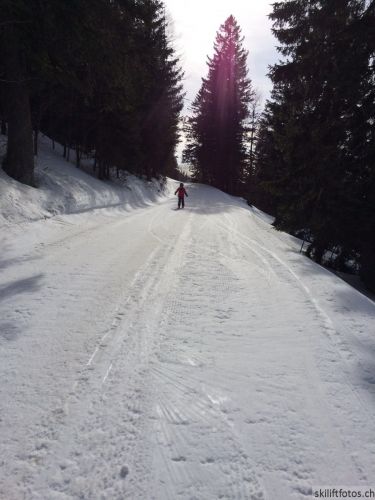 9. März 2019

