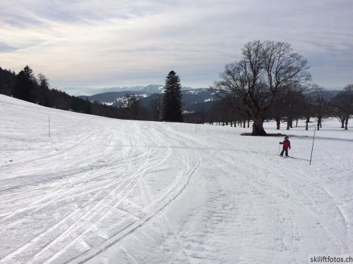 9. März 2019
