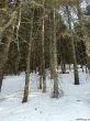 20150309-bugnenets-8559.jpg