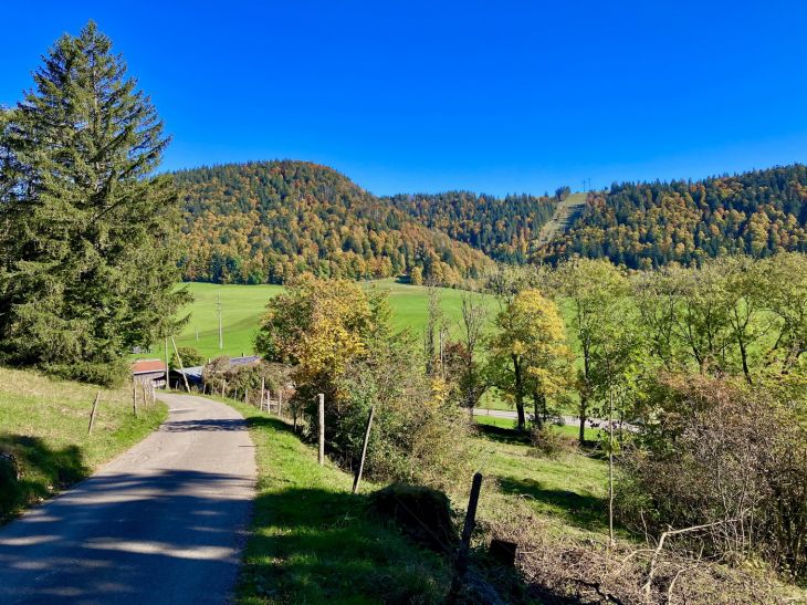 11. Oktober 2025
