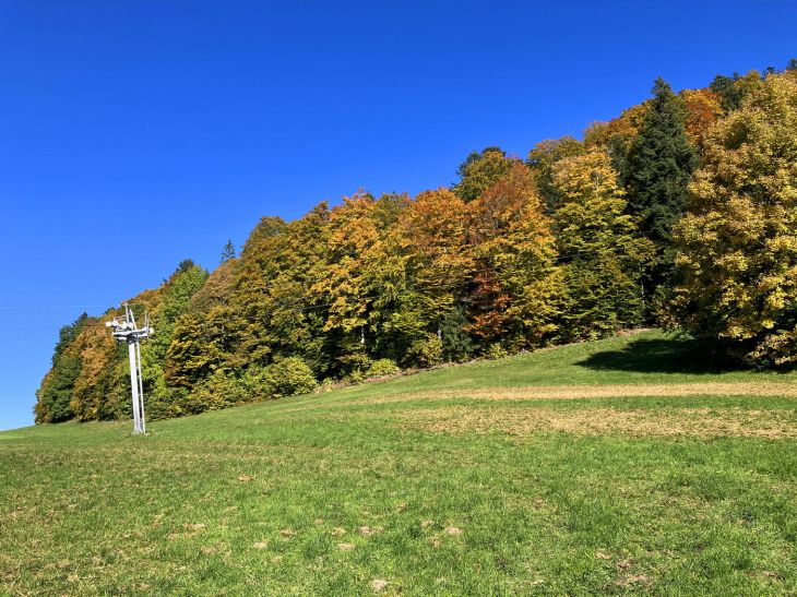 11. Oktober 2025
