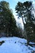 20100227-d-corbatiere-0035.jpg