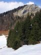 20150314-a-corbatiere-9275.jpg