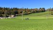 20251011-b-jura-neuchatelois-010.jpg