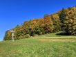 20251011-b-jura-neuchatelois-014.jpg
