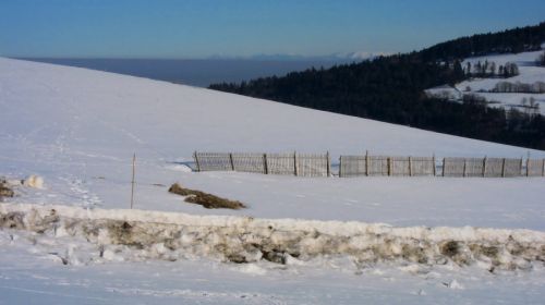Dent de Vaulion, 18. Januar 2012
