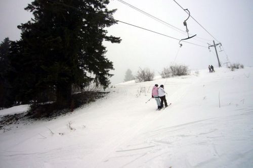29. Januar 2009
