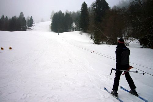 29. Januar 2009

