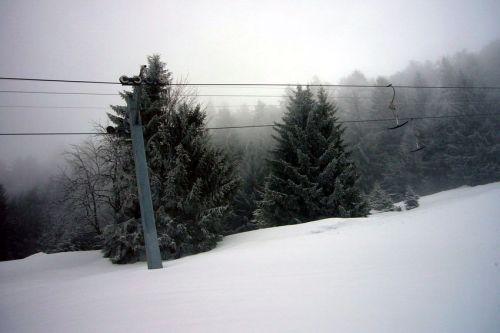 29. Januar 2009
