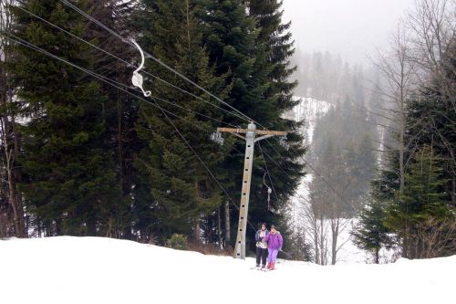 29. Januar 2009

