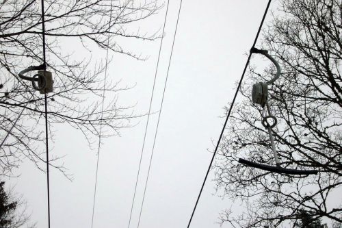 29. Januar 2009
