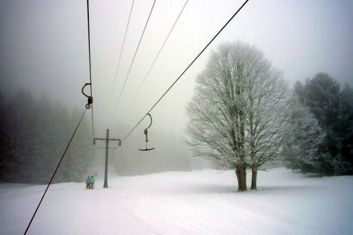 29. Januar 2009
