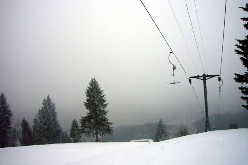29. Januar 2009
