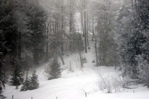 29. Januar 2009
