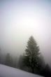 20090129-grandval-0553.jpg