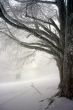 20090129-grandval-0633.jpg