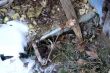 20090129-grandval-0660.jpg