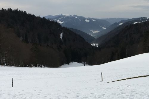 27. Januar 2016
