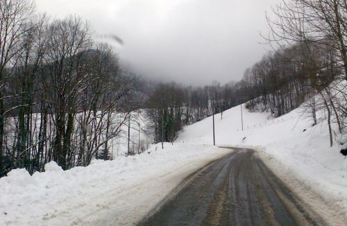 21. Februar 2009
