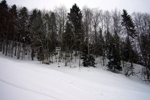 21. Februar 2009
