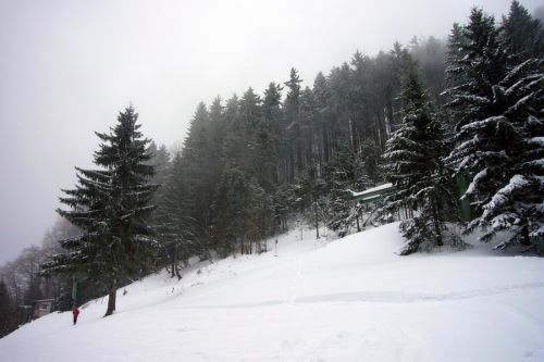 21. Februar 2009
