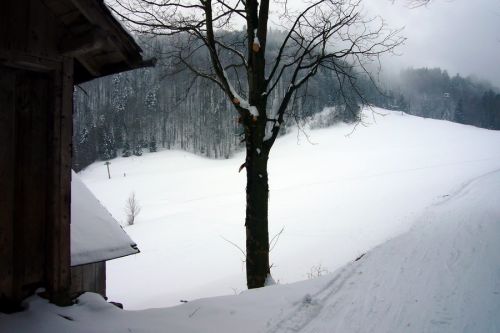 21. Februar 2009
