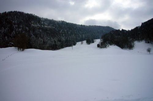 21. Februar 2009
