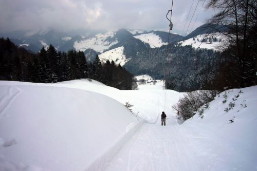 21. Februar 2009
