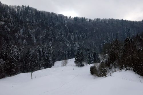 21. Februar 2009
