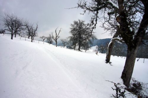 21. Februar 2009
