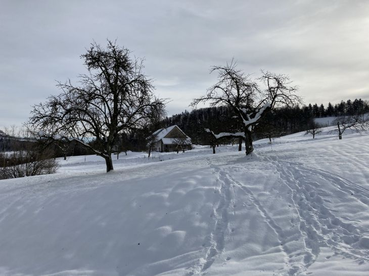 20. Januar 2021
