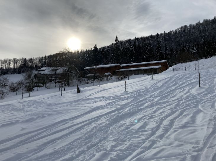 20. Januar 2021
