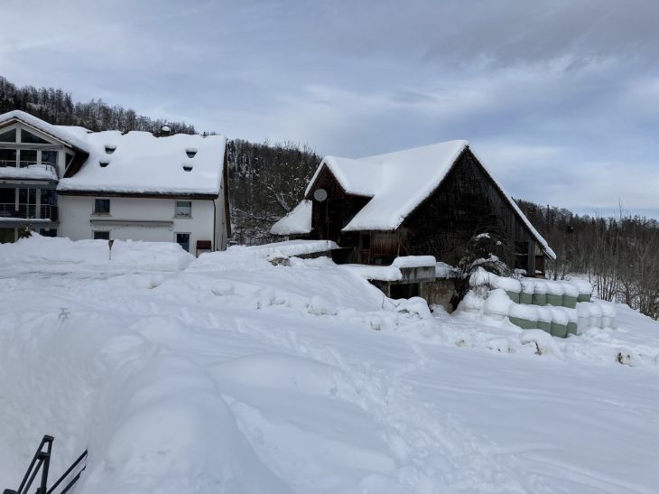 20. Januar 2021
