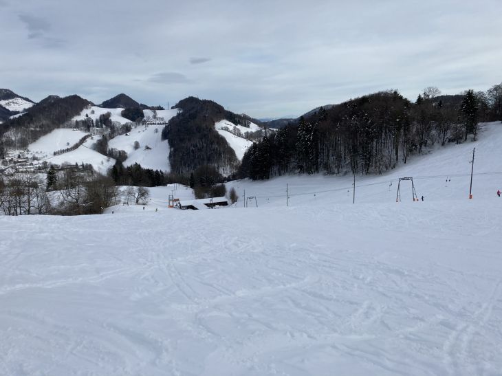 20. Januar 2021
