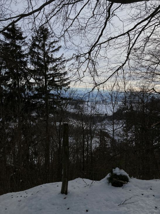 20. Januar 2021
