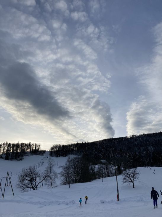 20. Januar 2021
