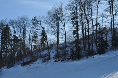 4. Februar 2010
