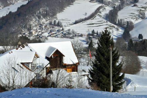4. Februar 2010
