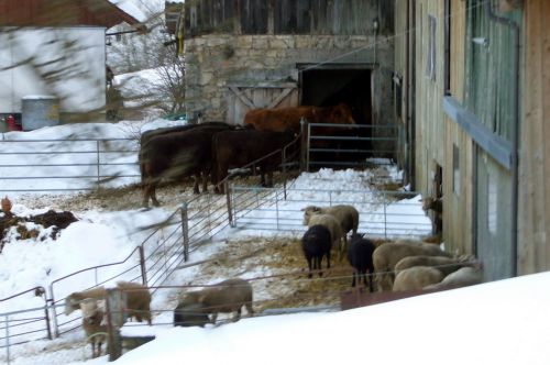 Entlang des Skiliftes Untere Wanne
