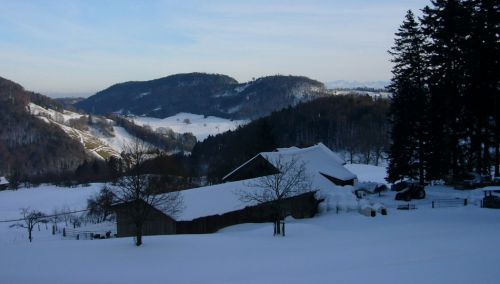 4. Februar 2010
