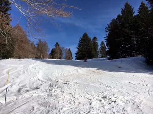 23. Januar 2016
